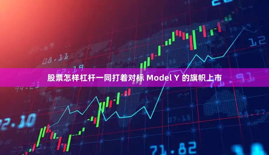 股票怎样杠杆一同打着对标 Model Y 的旗帜上市