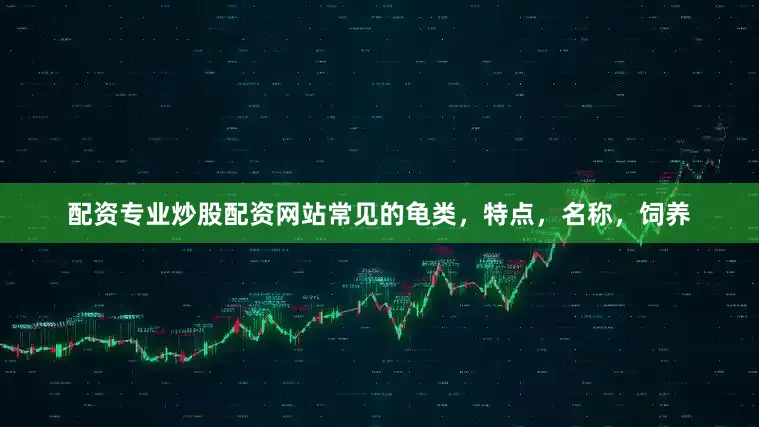 配资专业炒股配资网站常见的龟类，特点，名称，饲养