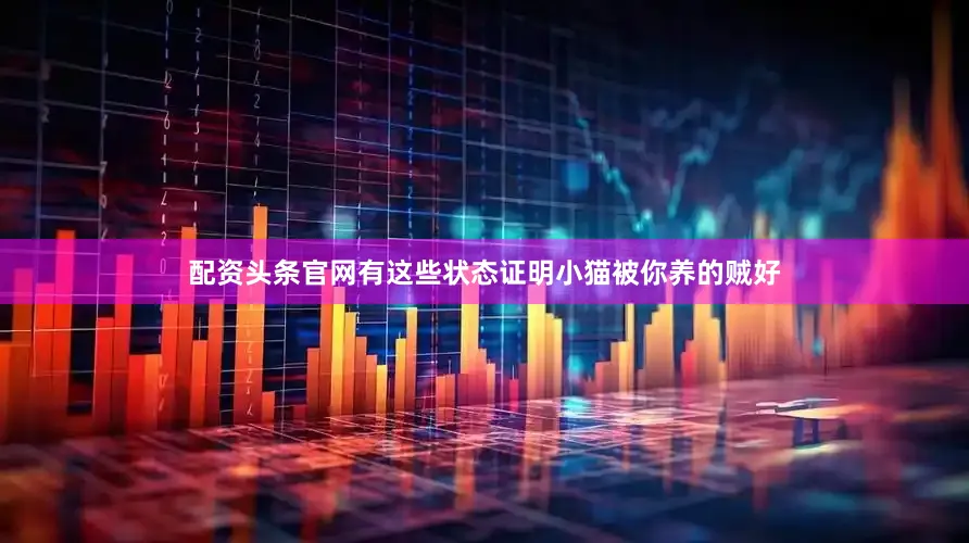 配资头条官网有这些状态证明小猫被你养的贼好