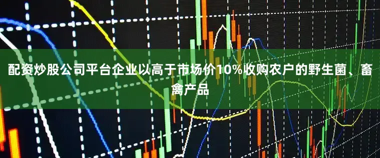 配资炒股公司平台企业以高于市场价10%收购农户的野生菌、畜禽产品